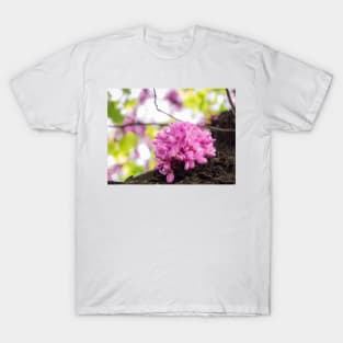 Rosebud T-Shirt